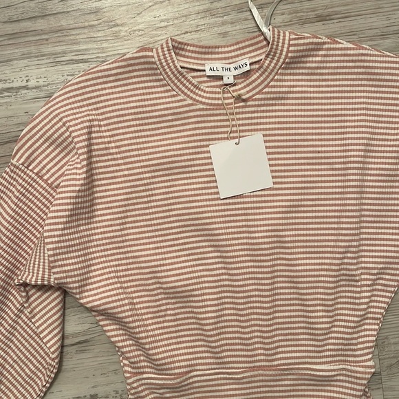 NWT ALL THE WAYS Tanya Blouson Dress in Striped Pink Small - Picture 3 of 3